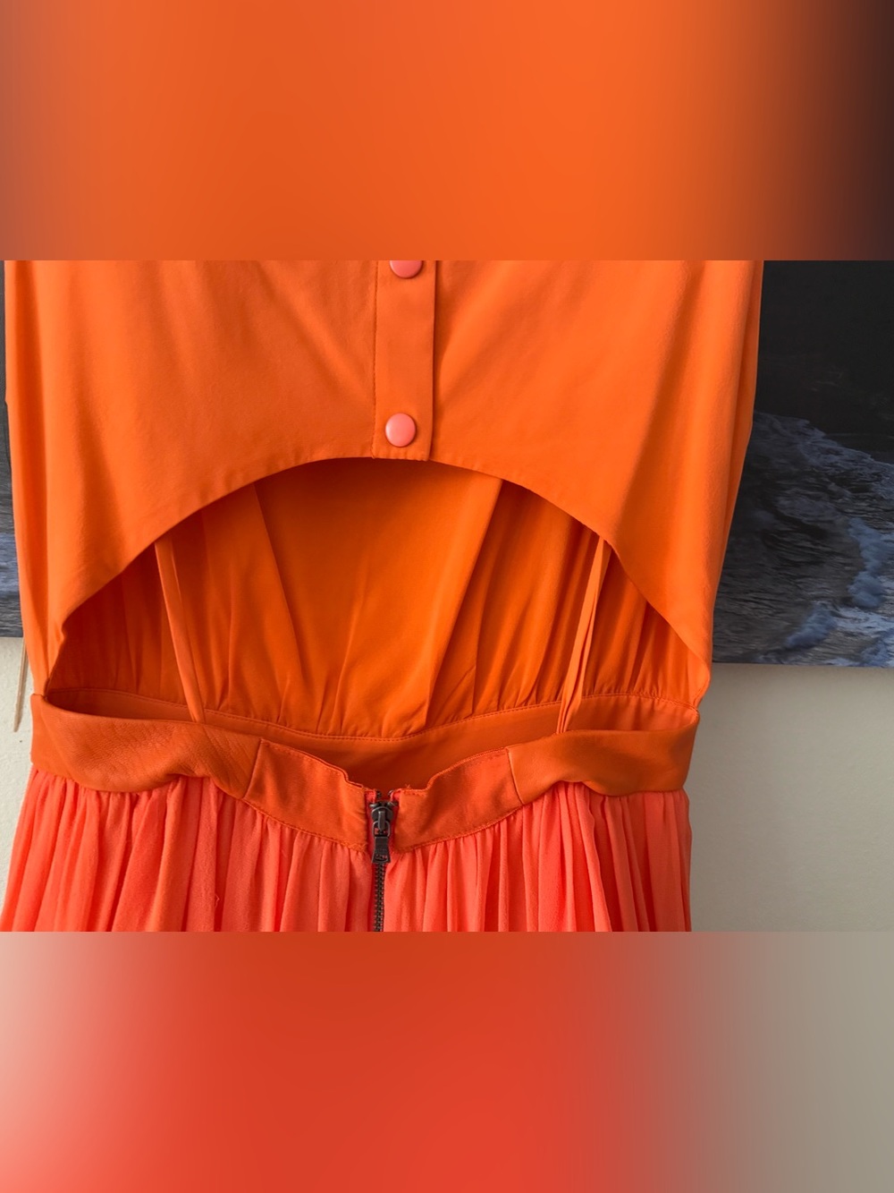 Alice+Olivia by Stacey Bendet Leather Waist Soft Orange Maxi Dress/ Gown/6/NWT - Picture 12 of 17